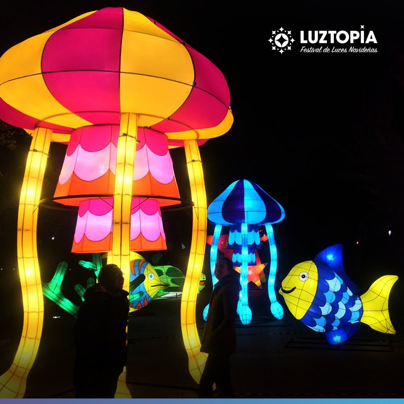 QuehacerenNL tweet media