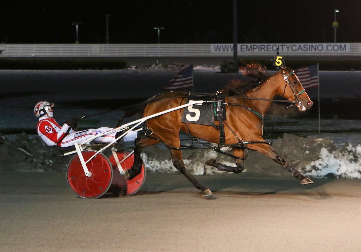 YonkersRaceway's tweet photo. DONT THINK TWICE A ($3.70) sets a new mark with 1:53 victory in the $44,000 F&amp;M Open Handicap for owners Arrhythmic &amp; @aharrisracing - driver @jbartlettracing said he is looking forward to driving her in next year's Blue Chip Series
Mike Lizzi photo https://t.co/Ark77BicS2