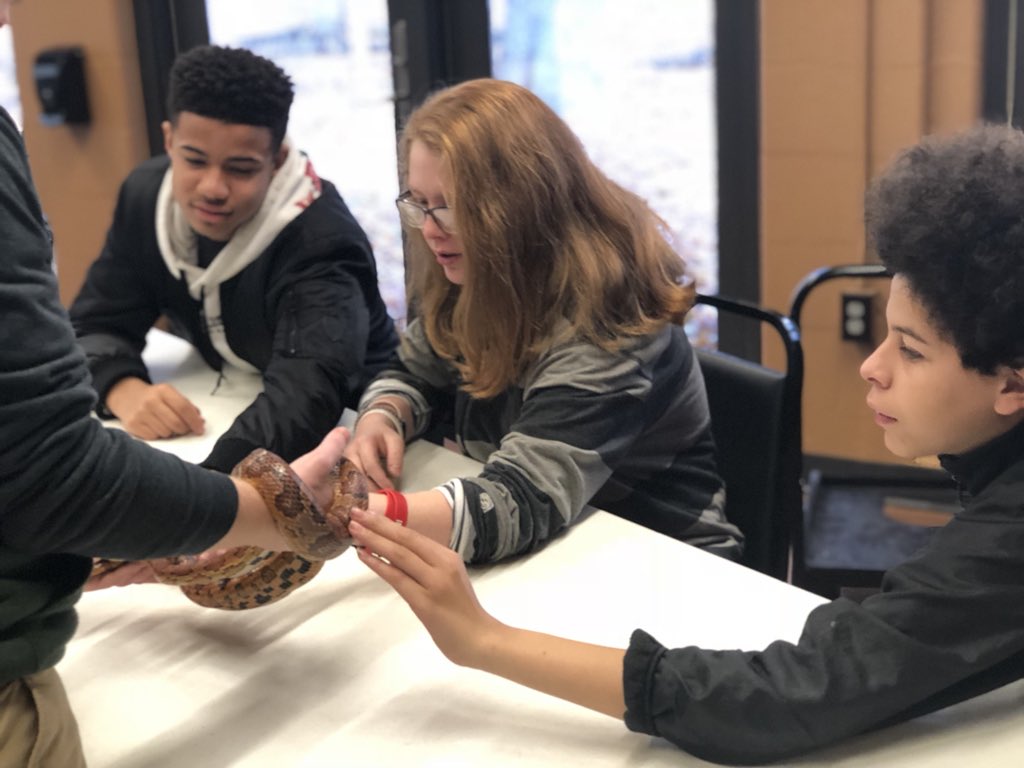 k_sensenbrenner's tweet photo. Trip 5/8 @wesselmanwoods. @AIS_ThePhoenix @EVSC1 students  completed choice projects - human impact on biodiversity, community education flyer, &amp; identify photo time lapse stations based on evidence of animal/human travel &amp; seasonal changes. #biology #outdoorlab #evsc #pefgrant https://t.co/w9FWemNlmw