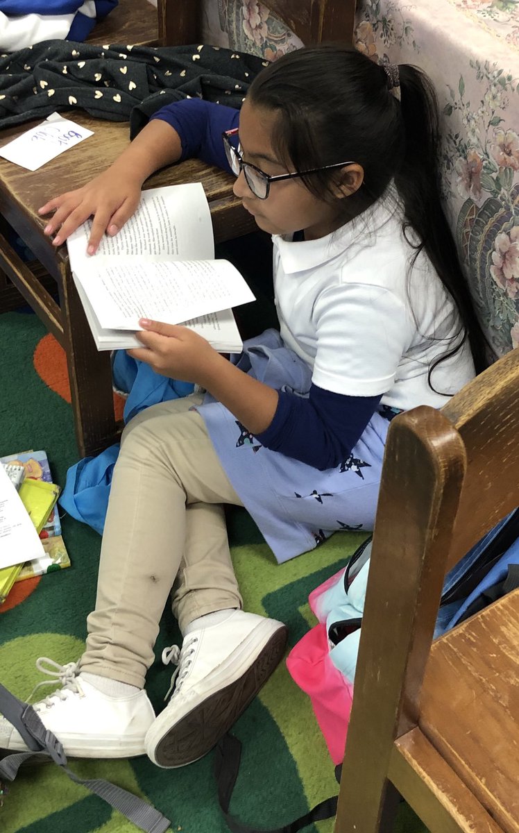 LibraryMacon's tweet image. Reading “Finding Gobi.”