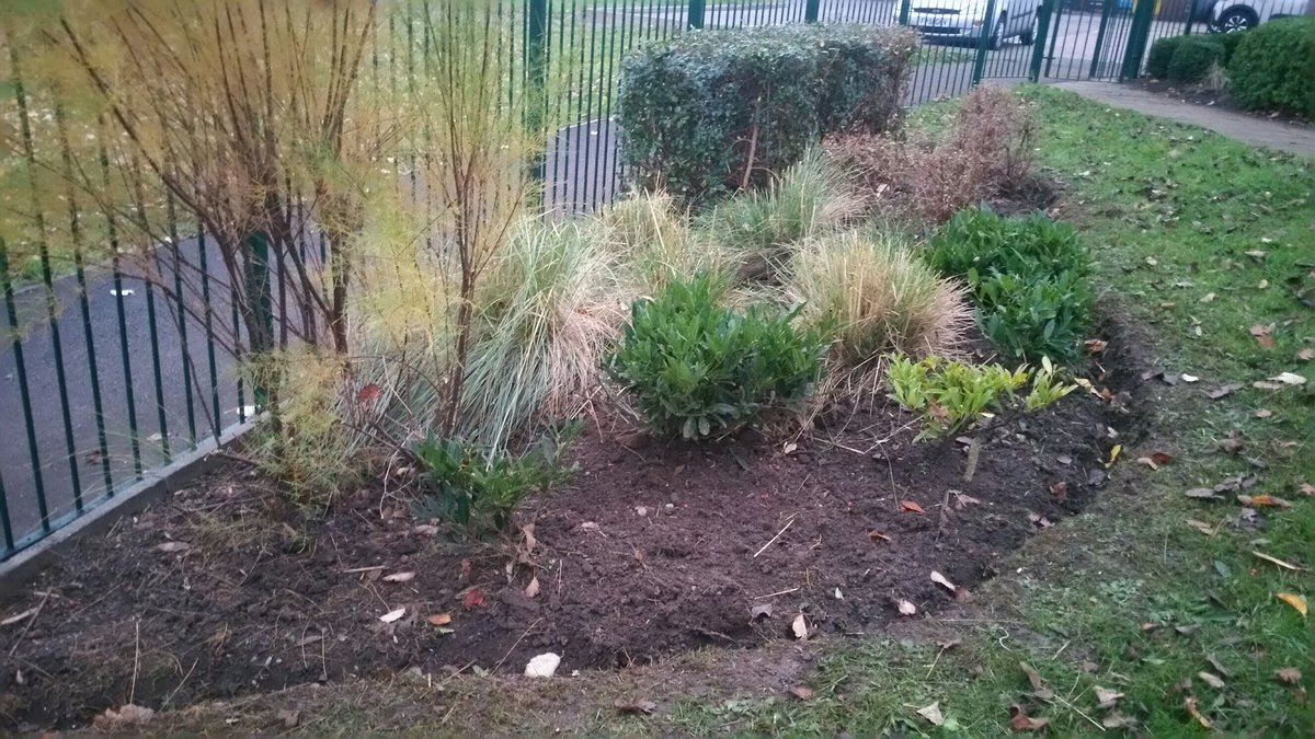 andy_giblin1's tweet photo. As we move another week closer to Christmas the countdown begins #Christmasholiday. Some excellent shrub work this week across the WDH district. Well done everyone👍 #lovemyjob #shrubwork @Hort_Sodexo @JamesLloyd99 @AlexMcLauchlan1 @gazbackhouse @Kimburford74 @WDHupdate https://t.co/w3TJE3uFsh