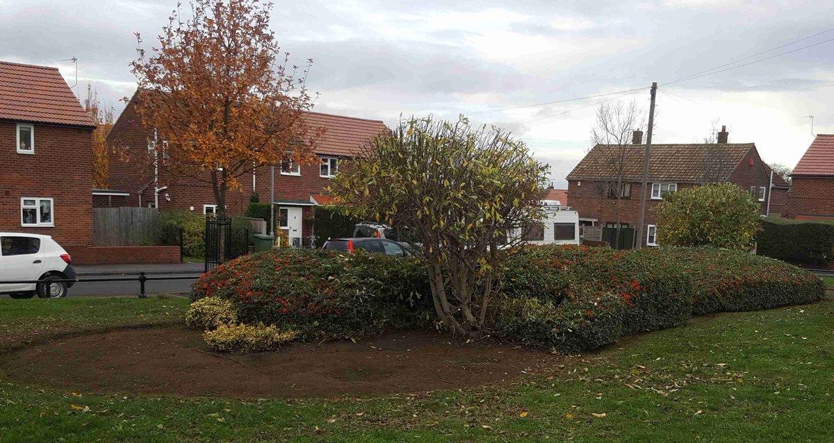 andy_giblin1's tweet photo. As we move another week closer to Christmas the countdown begins #Christmasholiday. Some excellent shrub work this week across the WDH district. Well done everyone👍 #lovemyjob #shrubwork @Hort_Sodexo @JamesLloyd99 @AlexMcLauchlan1 @gazbackhouse @Kimburford74 @WDHupdate https://t.co/w3TJE3uFsh