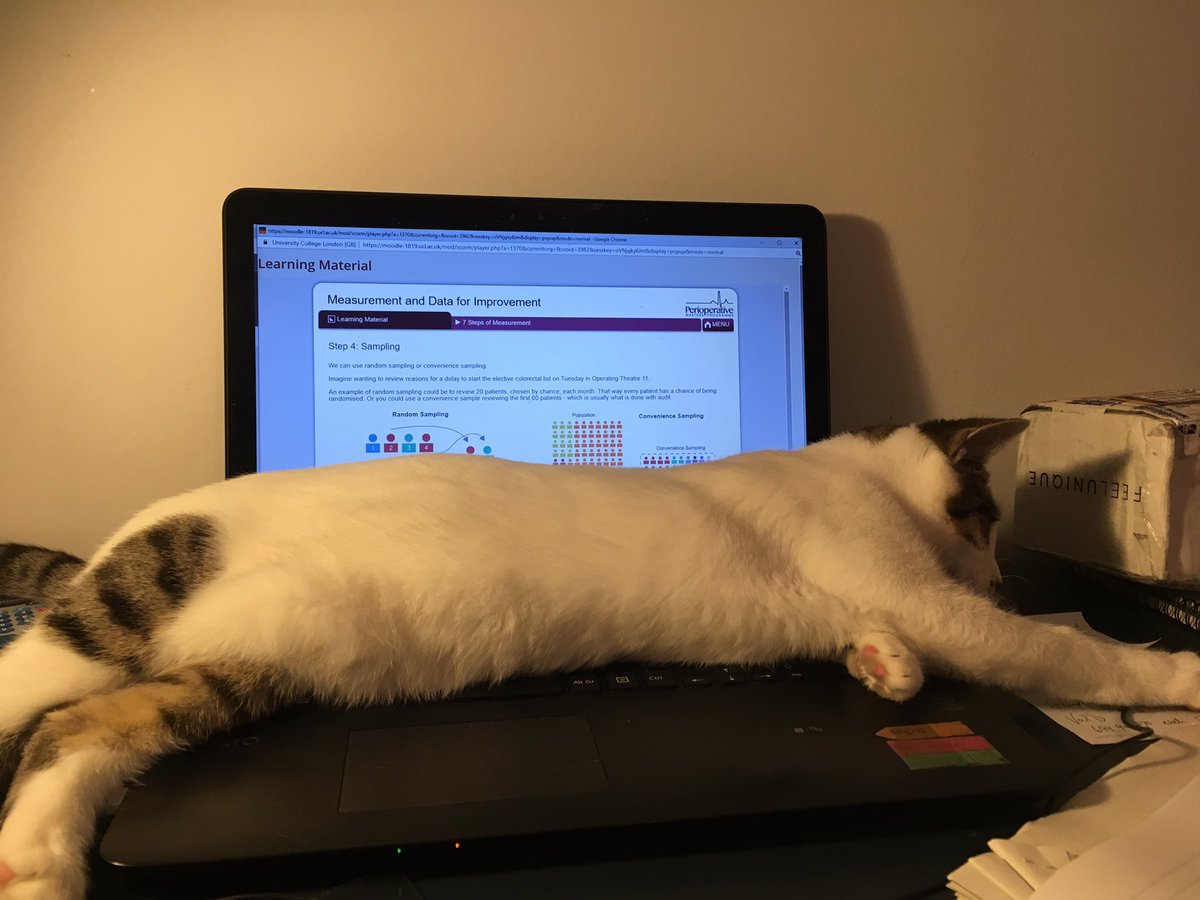 do my coursework alex