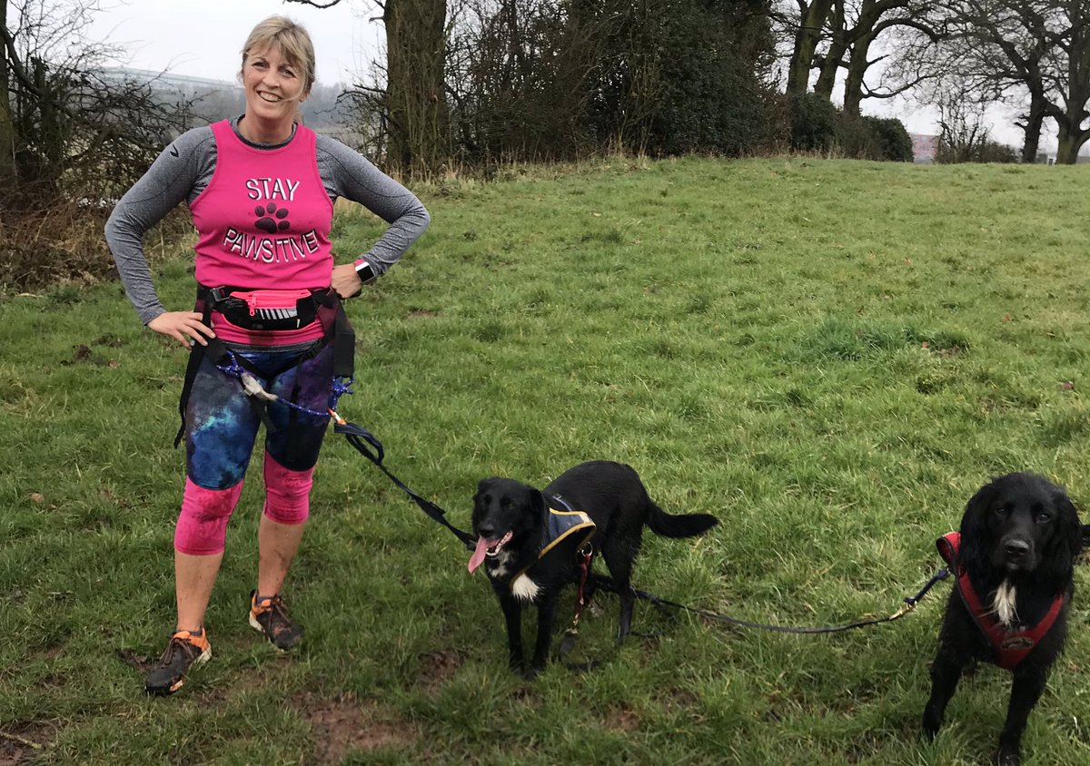 VannJan1's tweet photo. @dogfituk My guys doing what they enjoy #canicross #running #dogsarefamily #relaxandhavefun https://t.co/o9gOQD9vqi