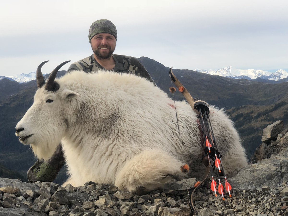 blackeaglearrow's tweet photo. Jake Downs harvested this BEAutiful mountain goat in Alaska using the #XImpact Arrows. Congrats!

#TeamBEA #BlackEagleArrows https://t.co/iu9cE3ulWT