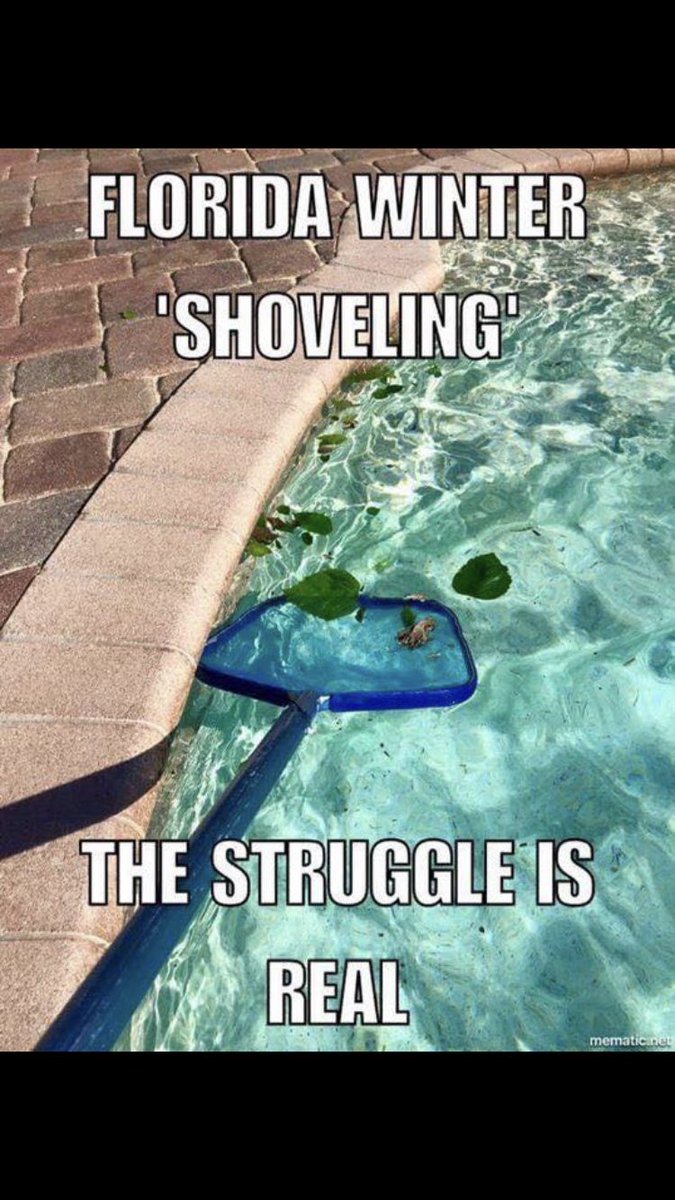 BestPoolsbyFarr's tweet photo. #winteriscoming #florida #pools https://t.co/d2yRbR4PD3