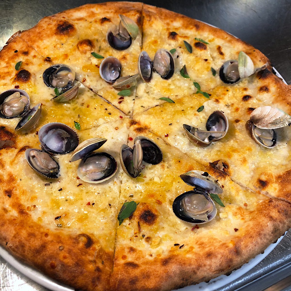 TarryNewHaven's tweet photo. TGIF 🐚🍕 😋 https://t.co/A55xFgQoBj