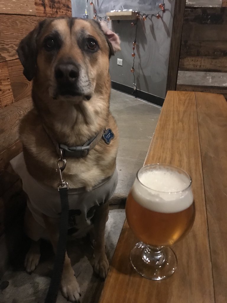 ViceDistrictBrewing tweet media