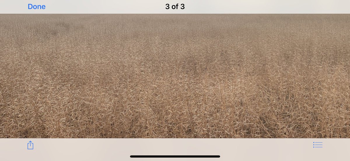 brad jones tweet media