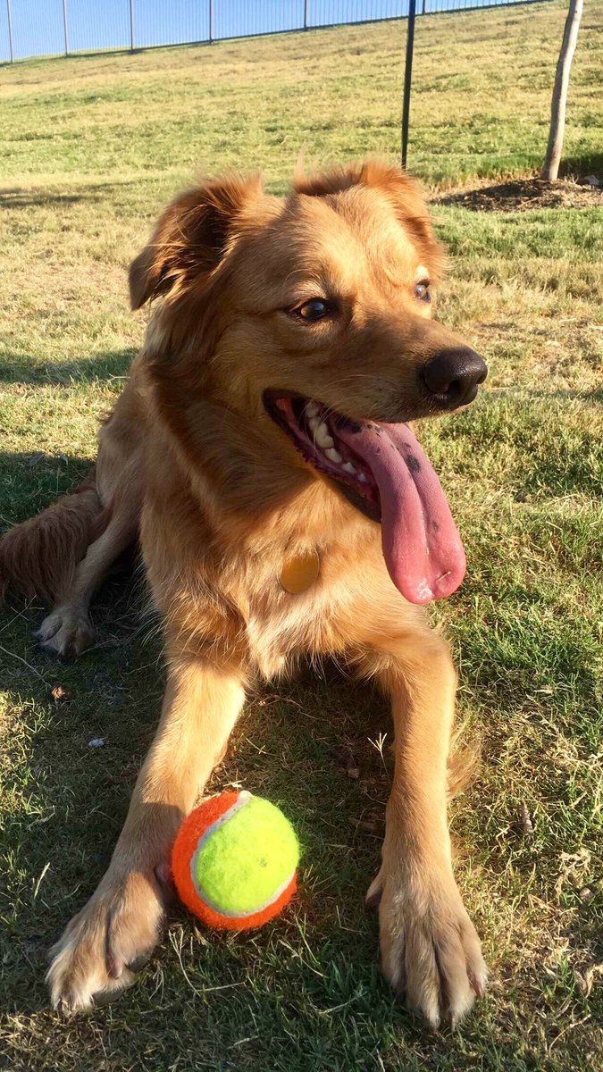 PieceOfMiind's tweet photo. Sadie appreciation post 🤧💓 https://t.co/9jz2WRz9MI