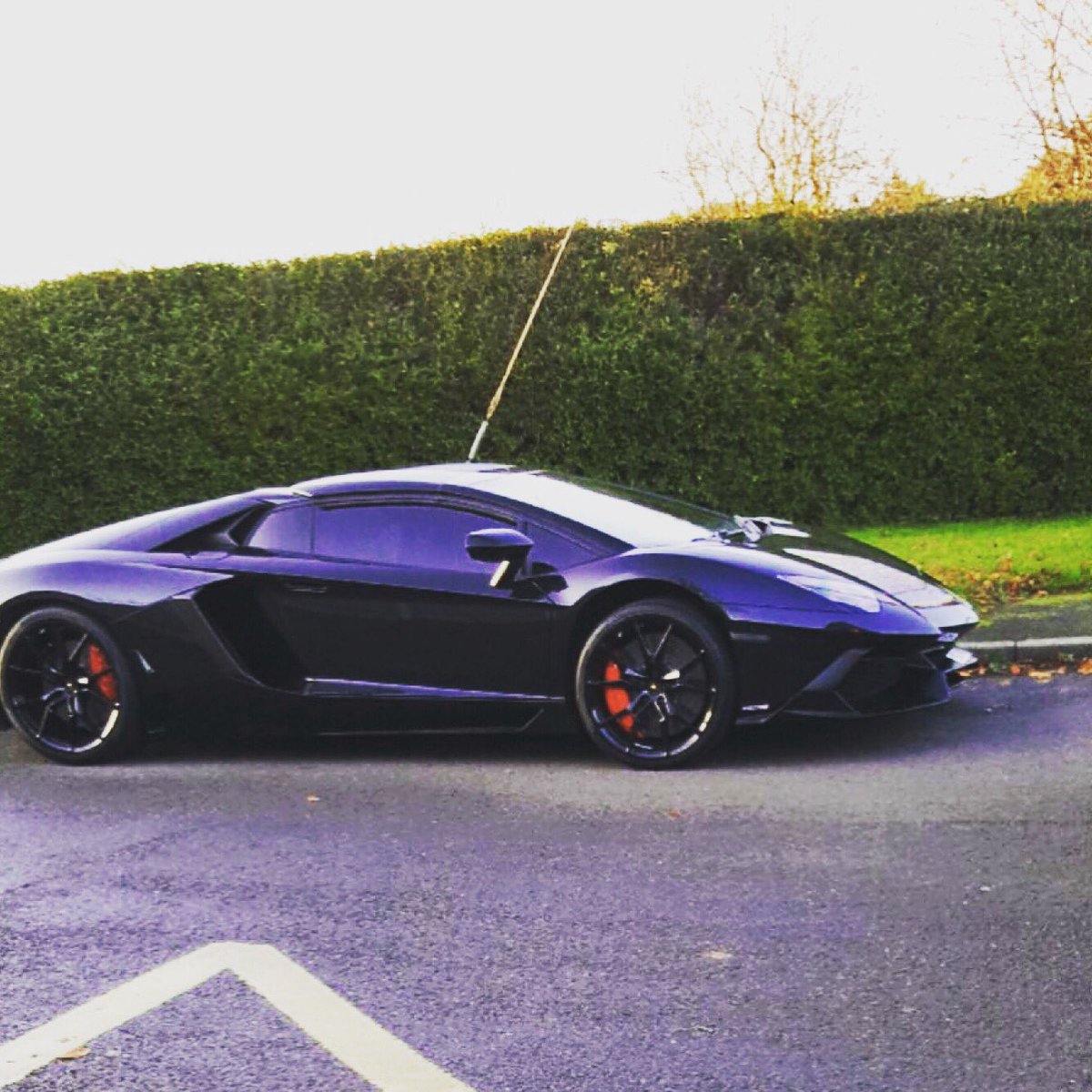 SnowBrian's tweet image. Dream car