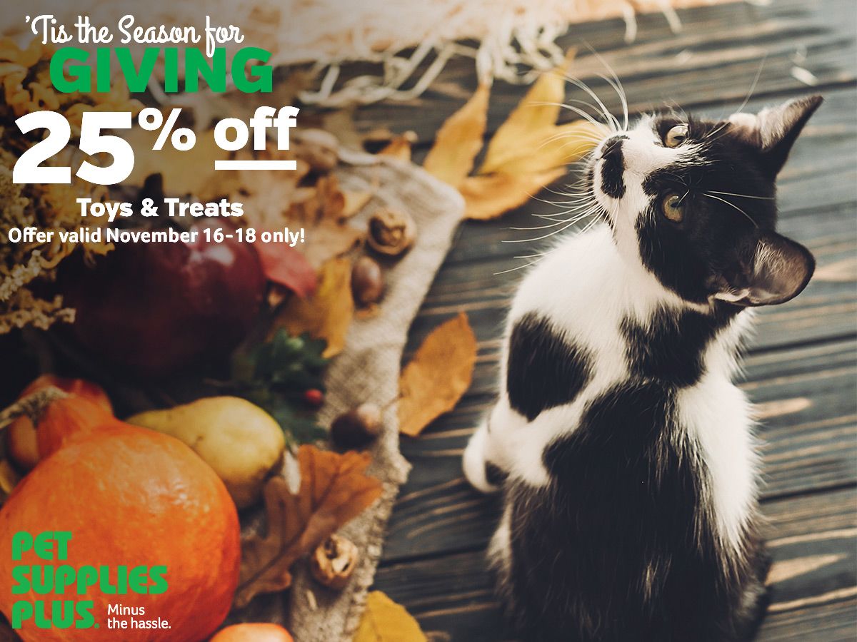 pet supplies plus coupon november 2018