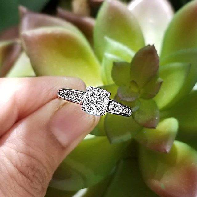 RockFineJewels's tweet photo. #rockfinejewels #cushioncutdiamond #engagementring #ilovediamonds #finejewellery https://t.co/KWmduEYY4J https://t.co/RZnUd3RUzo