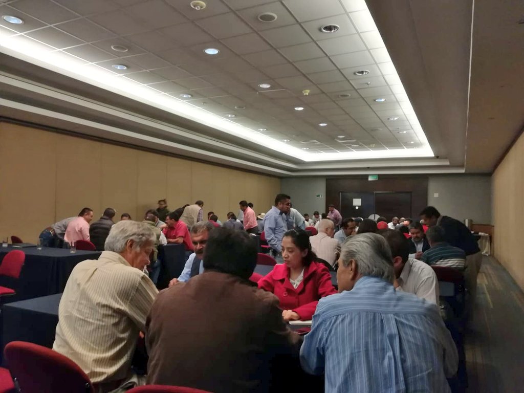ANECh_Oficial's tweet photo. @ANECh_Oficial agradece a los egresados de @uach_chapingo en GUANAJUATO por la invitación que hicieron a nuestro Presidente @IsmaelFloresT para participar en su Asamblea Constitutiva como Asociación. @vmva1950 @Mary_Luisa_AG @CIESTAAM_UACh @AlternativoRed @SDAyR_Gto @diegosinhu https://t.co/el1Rlde2ZC