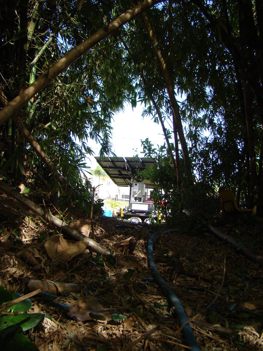 wwfoundations's tweet photo. Hope is here, hope is now 🇵🇷
-
#worldwaterfoundation #nature #water #hope #humanity #woods #neighborhood #puertorico #relief #life #tree #habitat https://t.co/I2InpqAq13