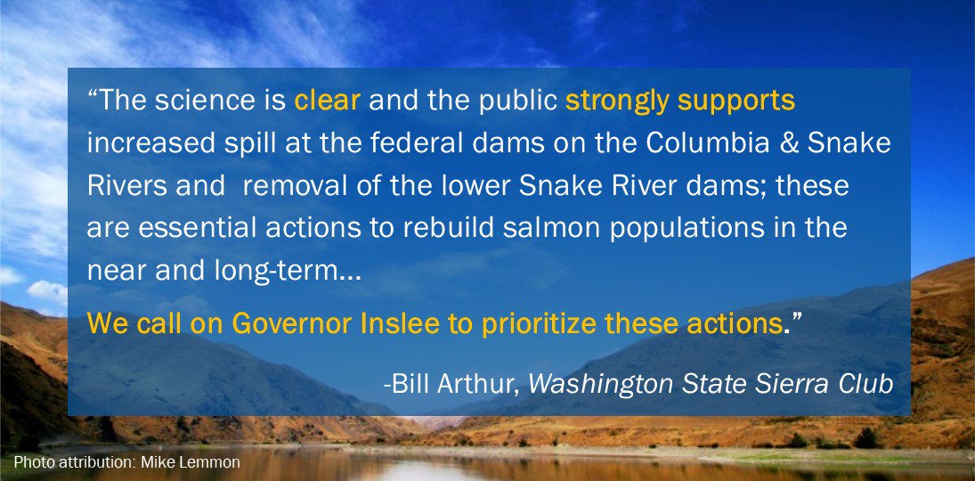 SierraClubWASt's tweet photo. 📢 BREAKING NEWS:
After 6 months of discussion and deliberation, the Southern Resident #OrcaTaskForce released its 2018 recommendations for @GovInslee today at the @SeattleAquarium . #PressRelease ➔ https://t.co/nBcs9fLifs https://t.co/sdNfCfpZwR