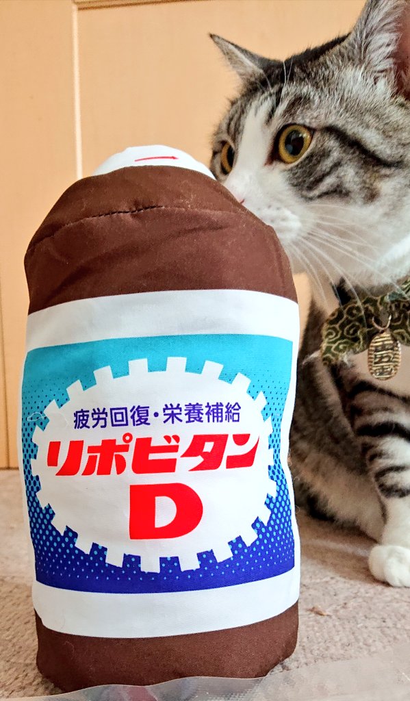 夏得キャンペーン