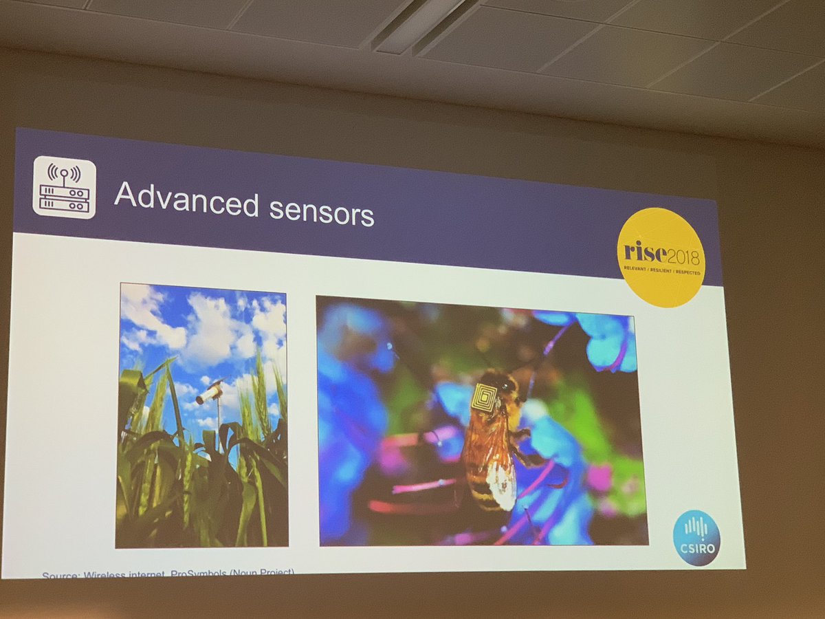 barnetjade's tweet image. #rise2018 CSIRO monitoring collapse of bee colonies through these micro sensors painstakingly put onto bees..manually. And you thought your submission was tough! #auslaw #beebackpack @CSIROnews