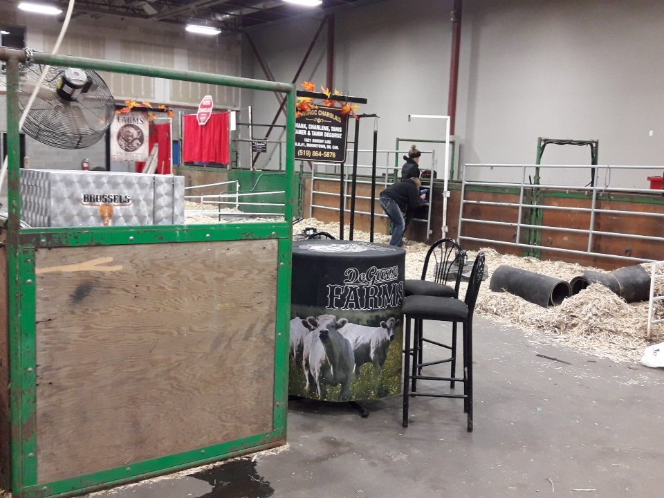 kellyscotthowe's tweet photo. Cattle and stalls are starting to appear at #agribition .  Make sure you make your way down to a great show!  #charolais sale Thursday and show friday.  Come on down!  #CWA18 https://t.co/ck0ppzZnnq