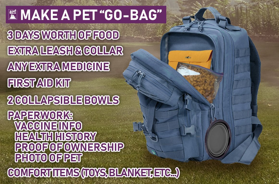 We'd like to remind our followers to prepare a pet "go-bag" for their pets. You never know when disaster may strike and you may be forced to leave home in a hurry. Here is a basic checklist courtesy of ARF’s Resource Center with a good starting point for what should be included.