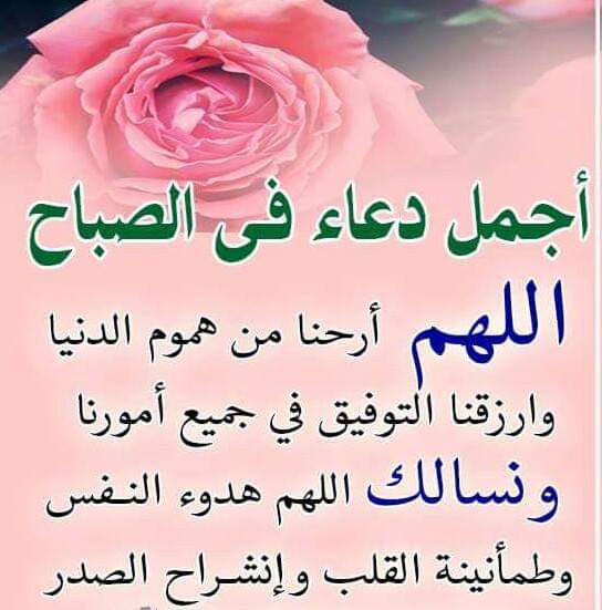 صباح الخير...