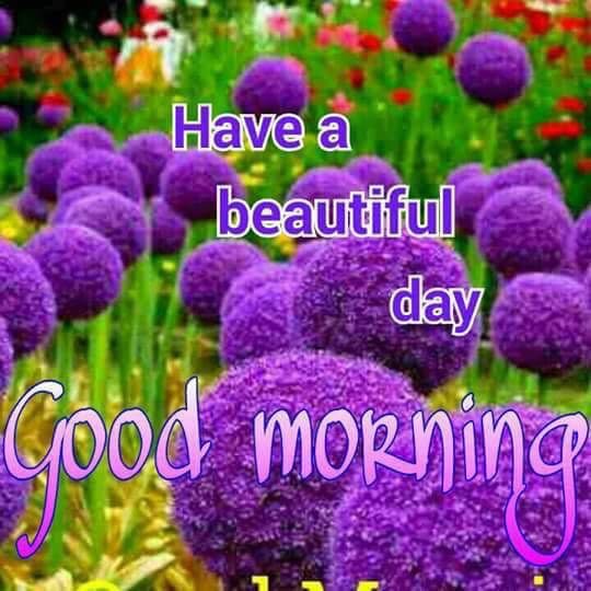 ♥️🌹Rossy🌹♥️ tweet media