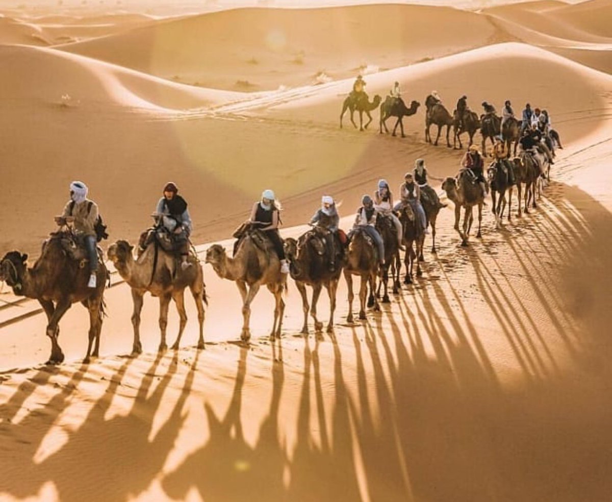 moroccopedia's tweet photo. Here are some of the best sports and activities to enjoy in and around Marrakech.
@ https://t.co/tN6rW9GkaD https://t.co/y8aTRW0hbU