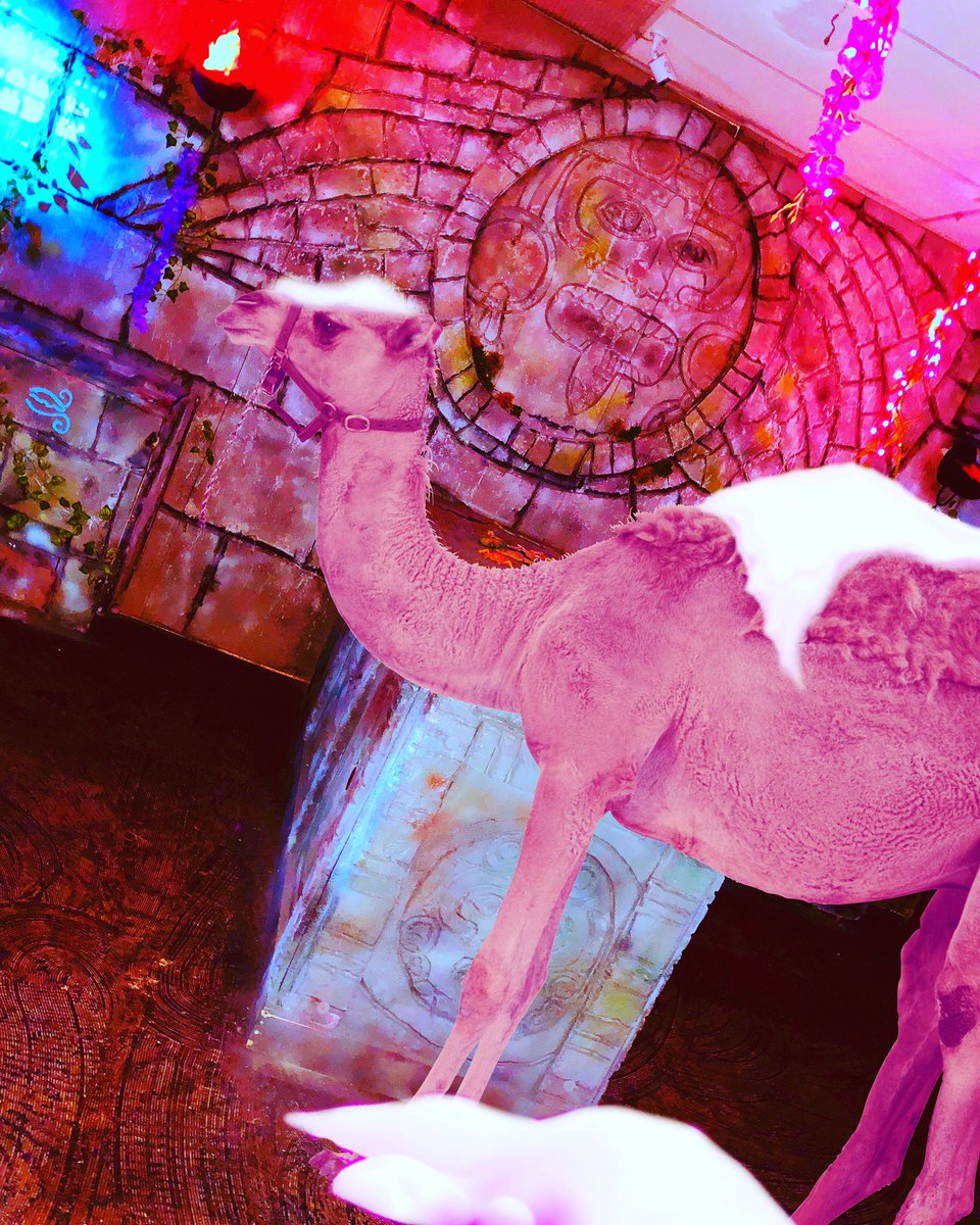 Captured LV tweet media