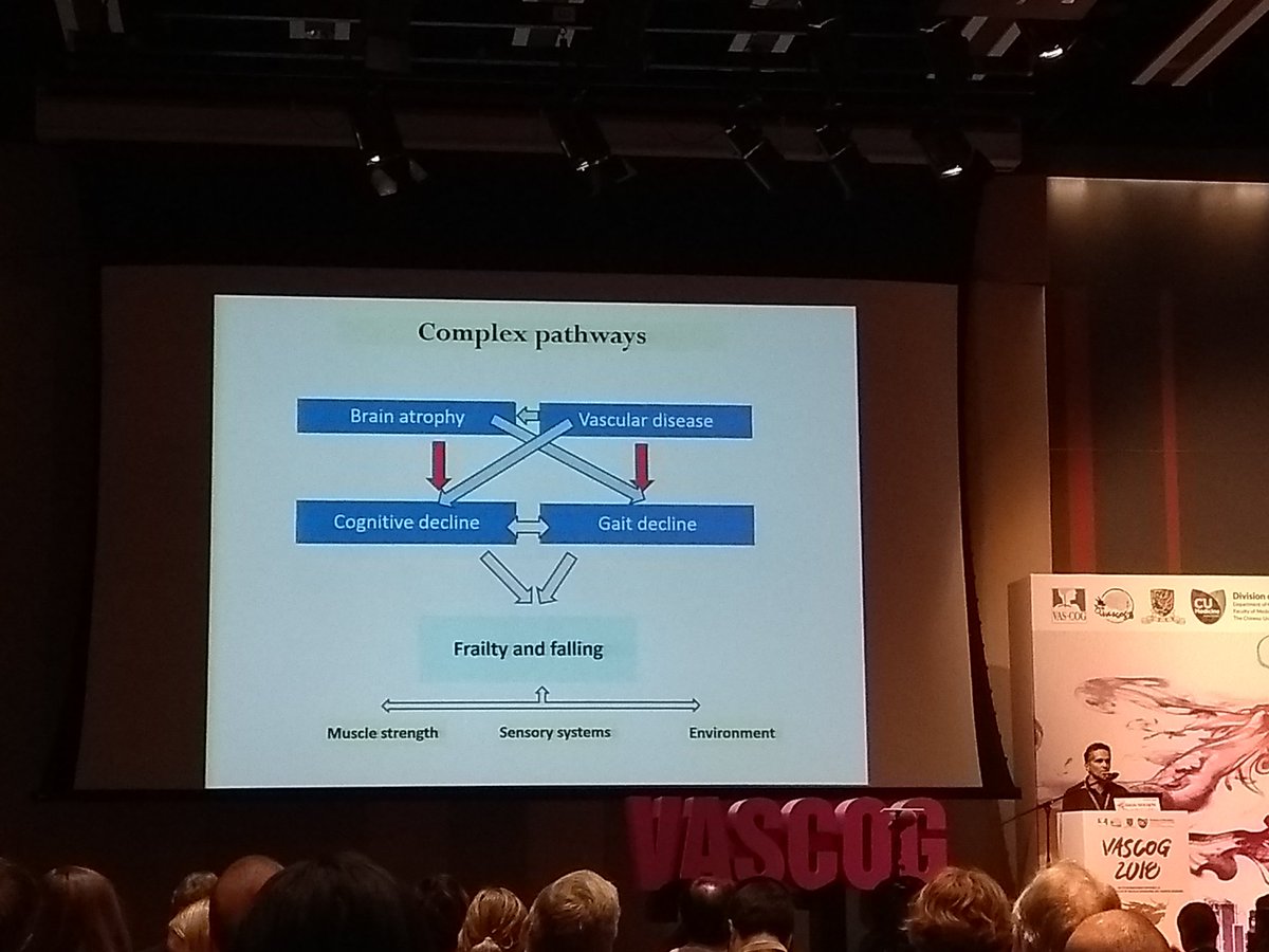 Velandai Srikanth: Complex pathways between gait and cerebrovascular and neurodegenerative disease. #VASCOG2018