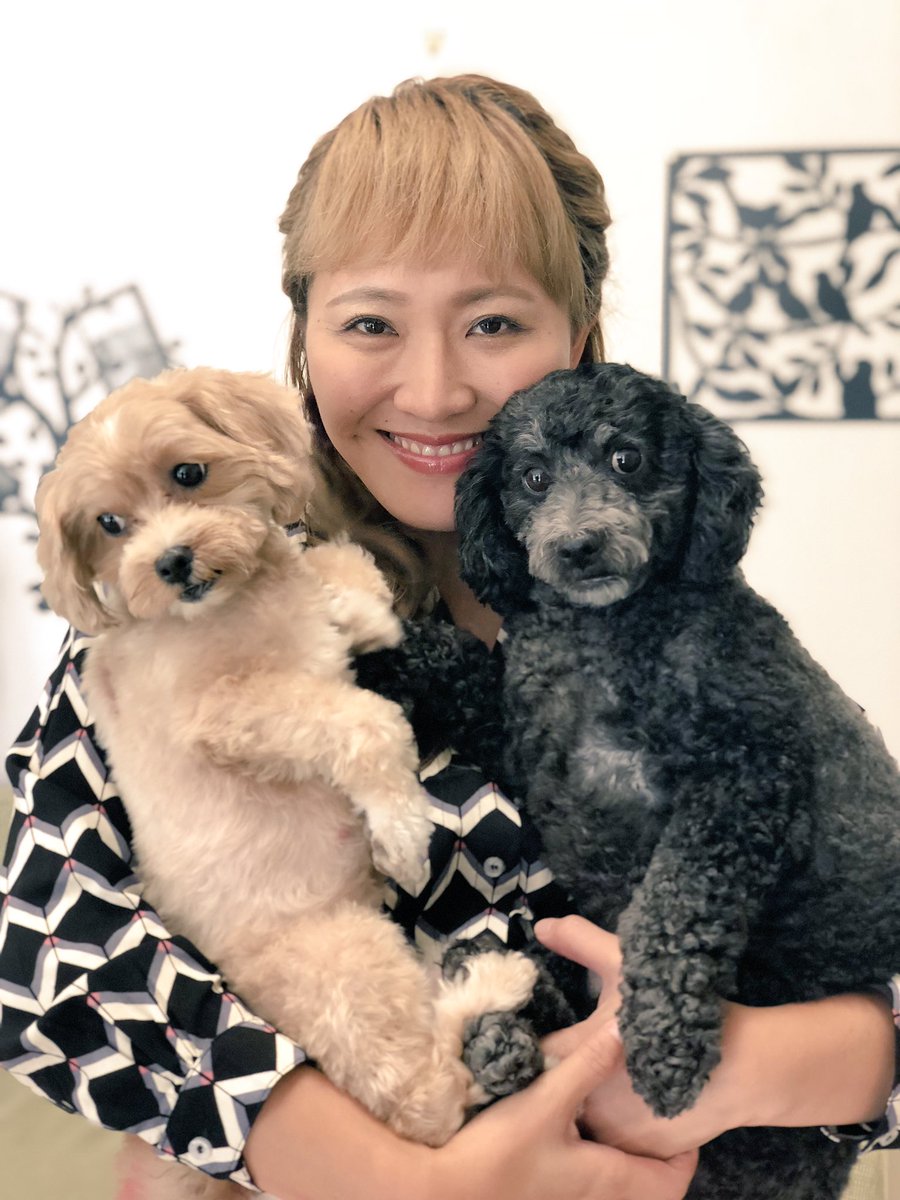 Karina Maruyama丸山桂里奈 No Twitter 本日19時 日本テレビ 志村どうぶつ園 です 愛犬と一緒に出たので ぜひみなさまにみて欲しいです よろしくお願いします
