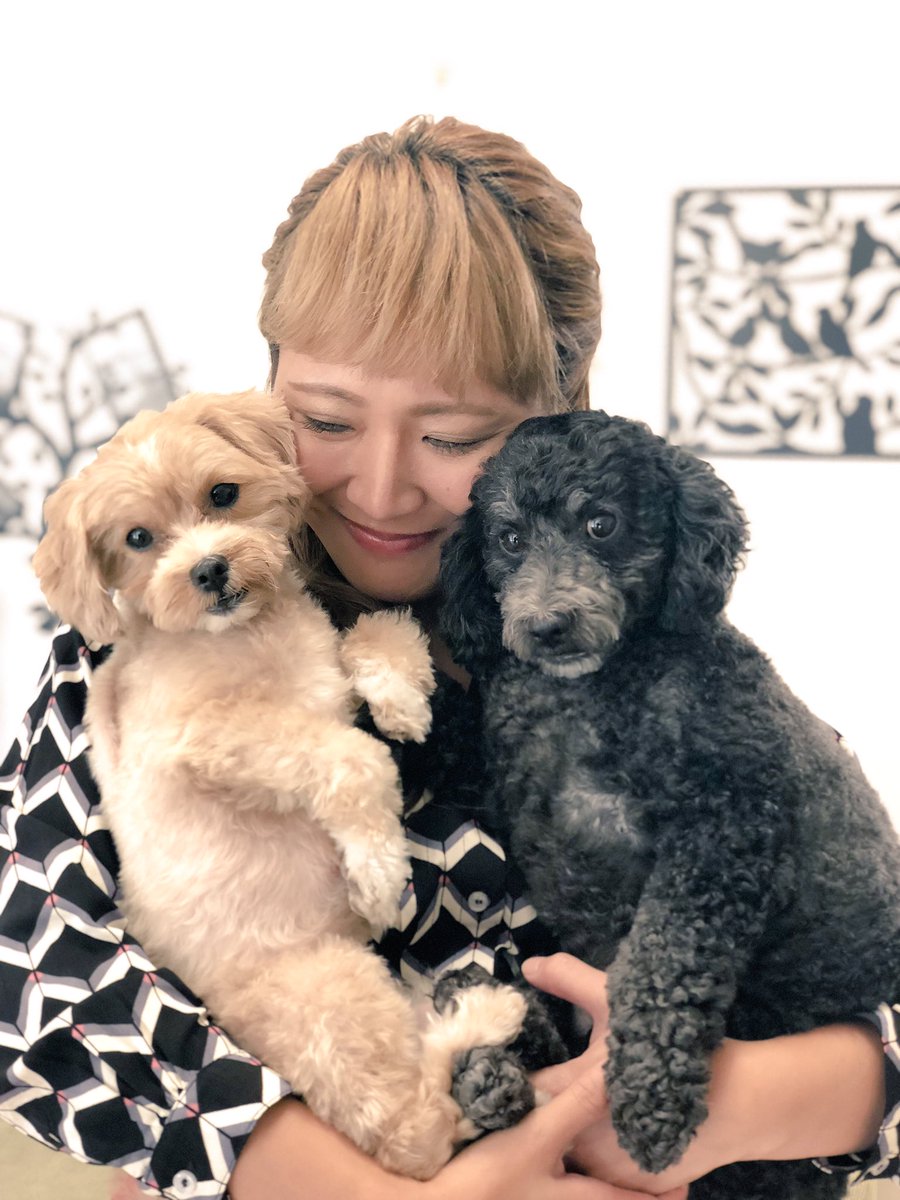 Karina Maruyama丸山桂里奈 No Twitter 本日19時 日本テレビ 志村どうぶつ園 です 愛犬と一緒に出たので ぜひみなさまにみて欲しいです よろしくお願いします