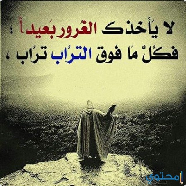 M_2021_A tweet picture