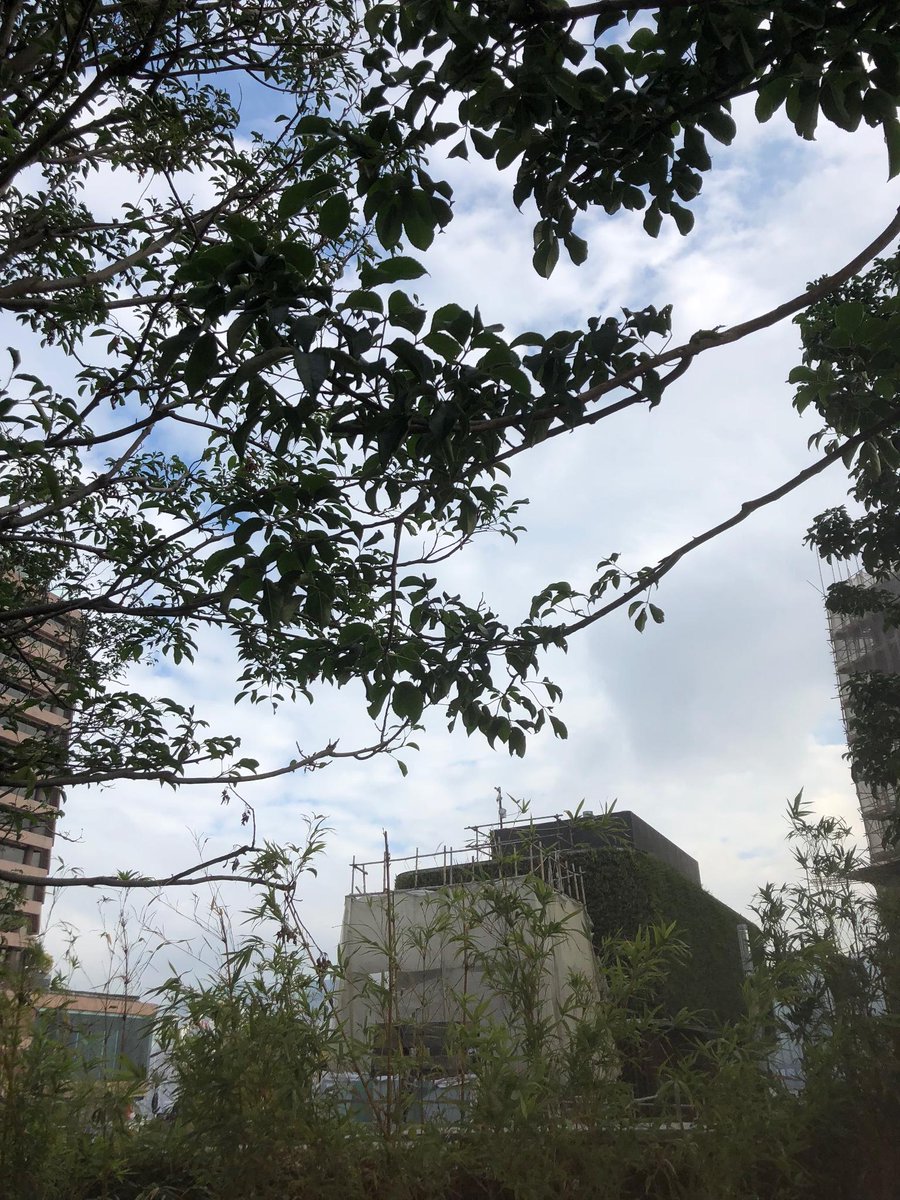 ingress's tweet image. Agents, We&apos;ve received intel you may want to seek on #RecursionPrime