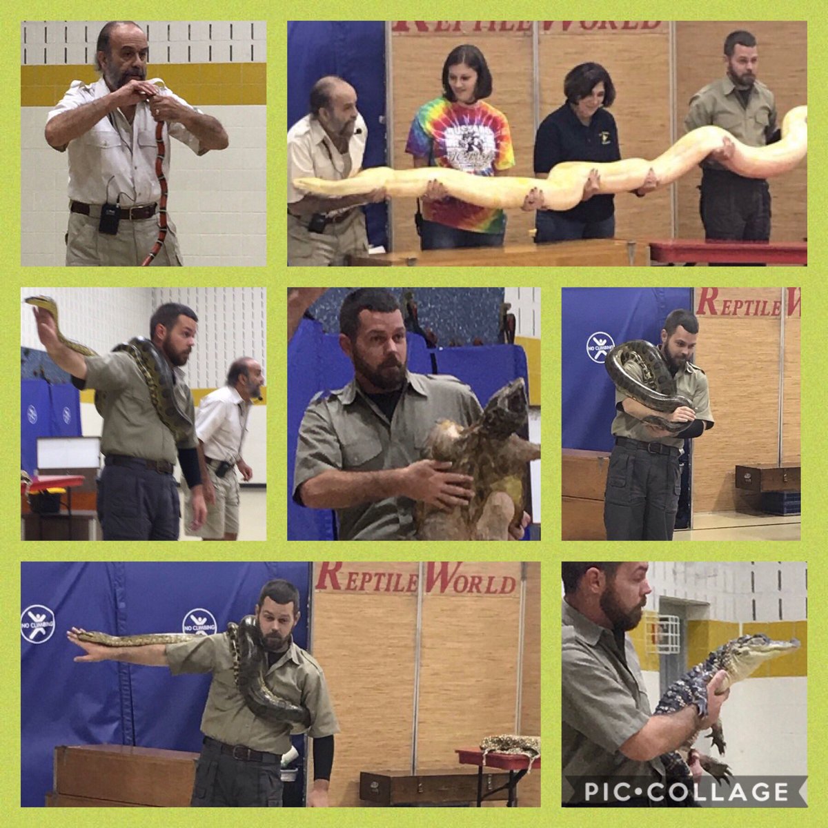 JCParksES's tweet photo. First Quarter Assembly #noreferrals. An eye-opening look at the world of reptiles 🦎 @JCParksES #Reptilesarecool #FridayMotivation #btsccps18 https://t.co/Muzg99SNEv