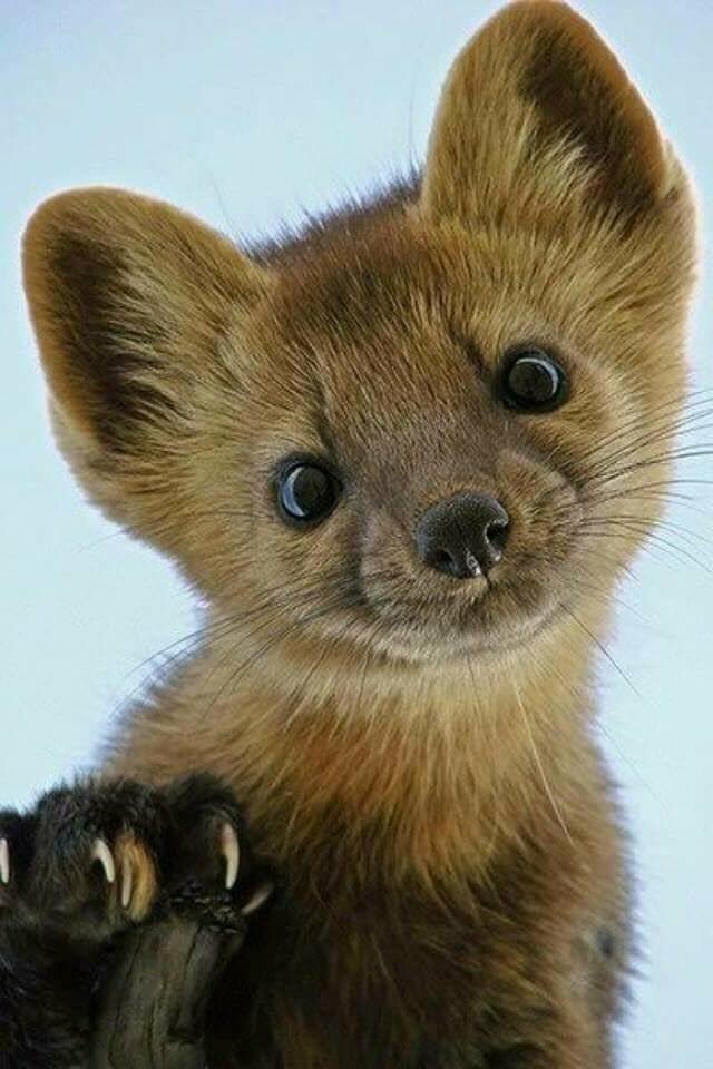 Yuji_Rich's tweet photo. @CristinPereyra @joserom69702423 @janek917 @liliramos6 @NUAZ1LGlhfit3Gp @TaposKumarBasu @mirtaimperatori @felic_palma @PapaPorter1 @MMuller2019 @NickyDimaio @Priverwolf @KICKINGASS2016 @juwadikimiyaho2 @Jhziqita @EnzoDeLuca19881 @NPSRaghav4 @ThShaher @RosaTrunk @_____YO_____YO @BreakingKind @KVajpayaee @BabyGo2014 @jaimemiserachi @DeFaukatrua @BrownieJohnston @RaoKrrao @VictoriaD6363 @Elalacran02 @JohnPierceIX @jet_new @carmenf07722705 @Marisol2224 @YNHallak @MSpadine @heroldbarton @PolishRoyalGoat @xuankiet @63_cabaa @pamconn1 @JanetSm77856478 @SKID1144 @guiller25136814 @ivymarina1 @Katyayan27 @LinariLuca @elliesangelwing @Eddie40670711 #FollowHappySaturday https://t.co/0zya53PWuI