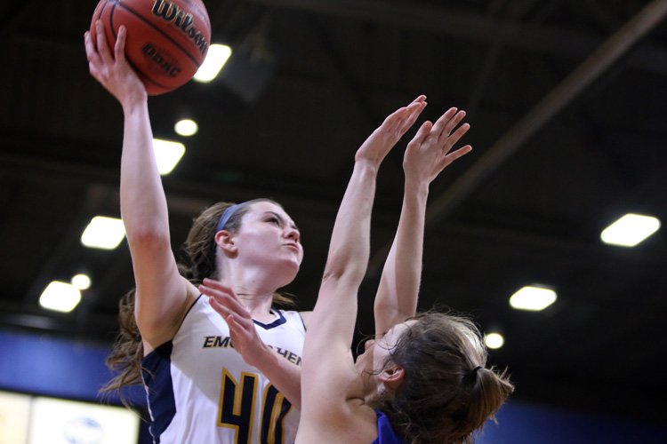 GoWasps tweet picture