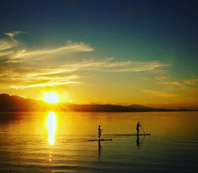 supsdotnet's tweet photo. ๐ท #Repost @cfalconerphoto
.
An evening SUP in an amazing summer sunset. A stunning end to a gorgeous day. #sup #sunset #summer #ocean #warmlight #beautifulbc #light #reflection #standuppaddle #bcsunset #vancouverisland #sunset_pics #sunset๐
#BCisBeauโฆ https://t.co/JpfciBFWLv https://t.co/3RWlXdF3LB