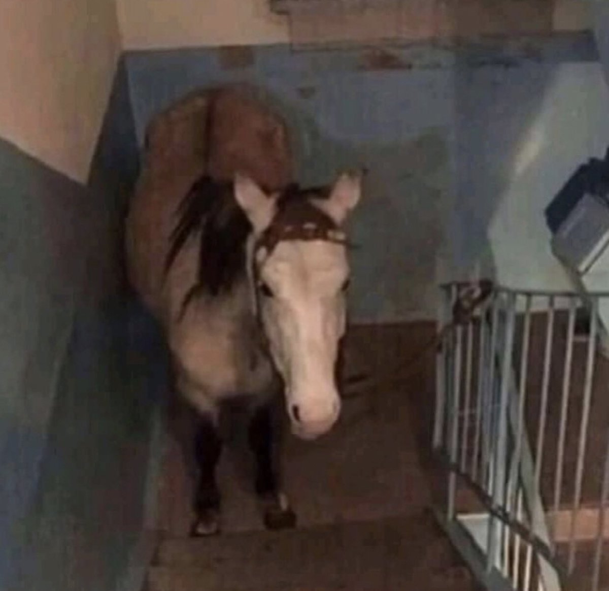 muskyratboy's tweet photo. goin to bed y’all need anything? https://t.co/BHWT1wh8SX