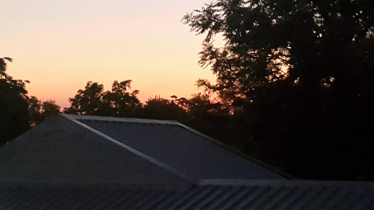 ThornhillBW252's tweet image. From my bedroom window on the platform made for me @ThornhillBW252 this morning. Woke up to the sun rise and not the sprinklers. Challenge done and paid up! Well done to our Thornhill family for the incredible amount of money raised at the Sponsored Walk.