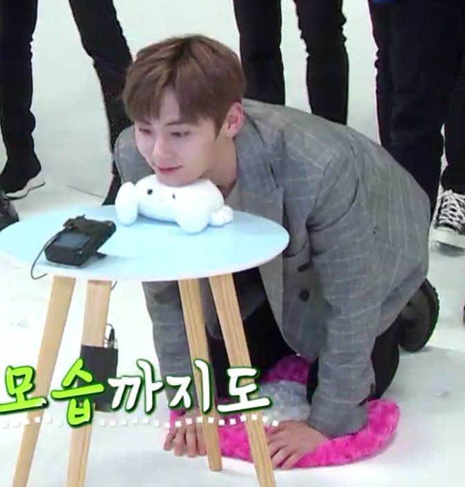 Minhyun the cat tweet media