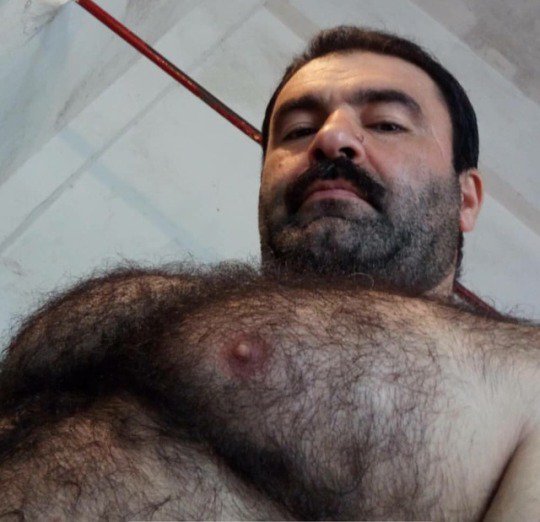 ThatFurryBear's tweet photo. Follow ThatFurryBear to get daily #Hairymen, #Gaybear pictures! https://t.co/fWbdUxfvOO
