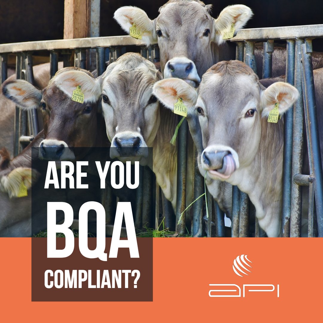 animalprofiling's tweet image. Increasingly, the market outlets for cattle are demanding BQA Compliance. API provides diagnostic testing to help identify the disease status of your herd. Routine monitoring of diseases such as BVD are integral to adhering to the principles of BQA. animalprofiling.com/bqa