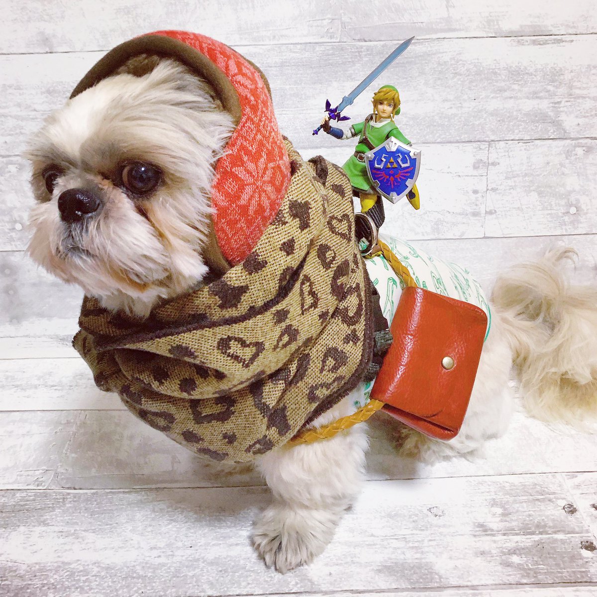 イラストレーター幸池重季ａｕｎ على تويتر The Legend Of Zelda いざ行かん 犬やすみ展へ おではリンクと冒険の旅に出るんやで 目標は東京の浅草 目指すは 犬やすみ展 やで うおーーーーー T Co Xwhebfzvcv Thelegendofzelda リンク 任天堂