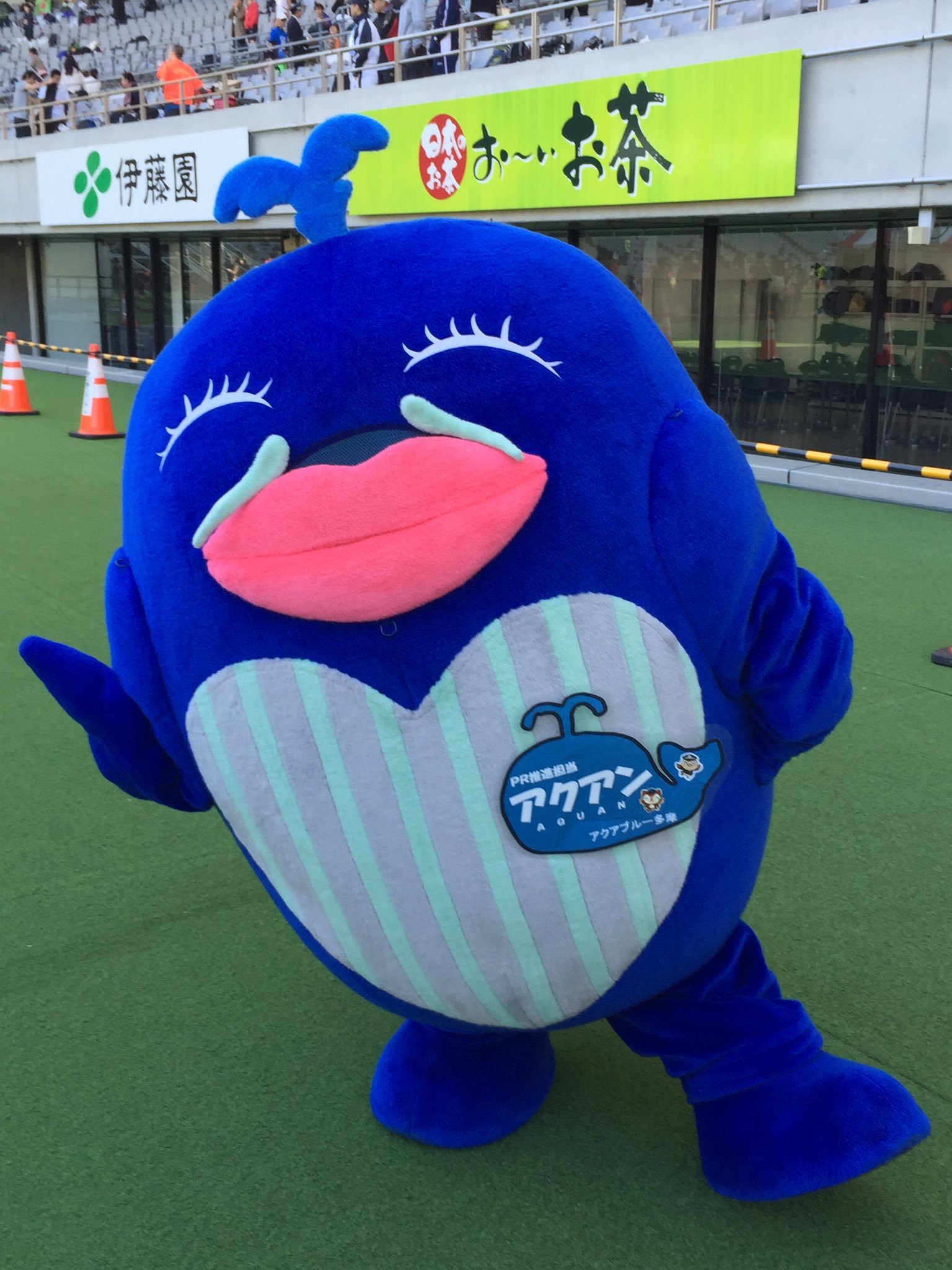 アクアブルー多摩 Twitter Search Twitter