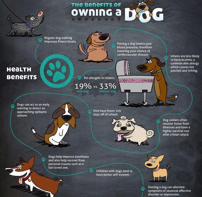 There are so many great things about owning a #dog.