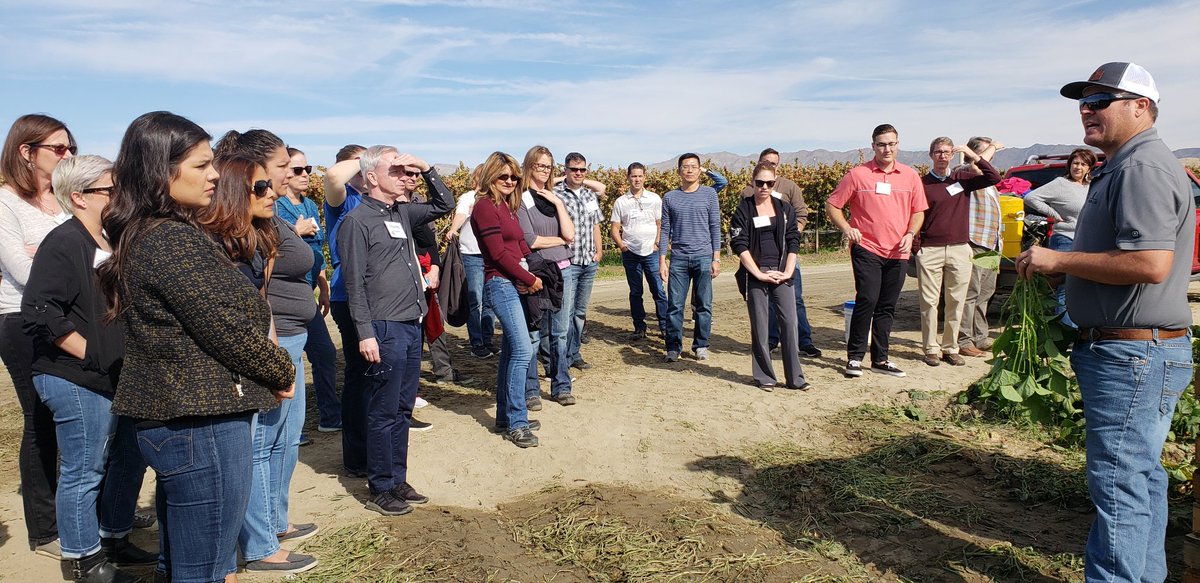 Way2Gro's tweet photo. Leadership Coachella Valley watching green bean harvest @OceanMistFarms A great agriculture tour for a great group. @desertwebber  @mr_m_terry https://t.co/zI57qvcf5Y