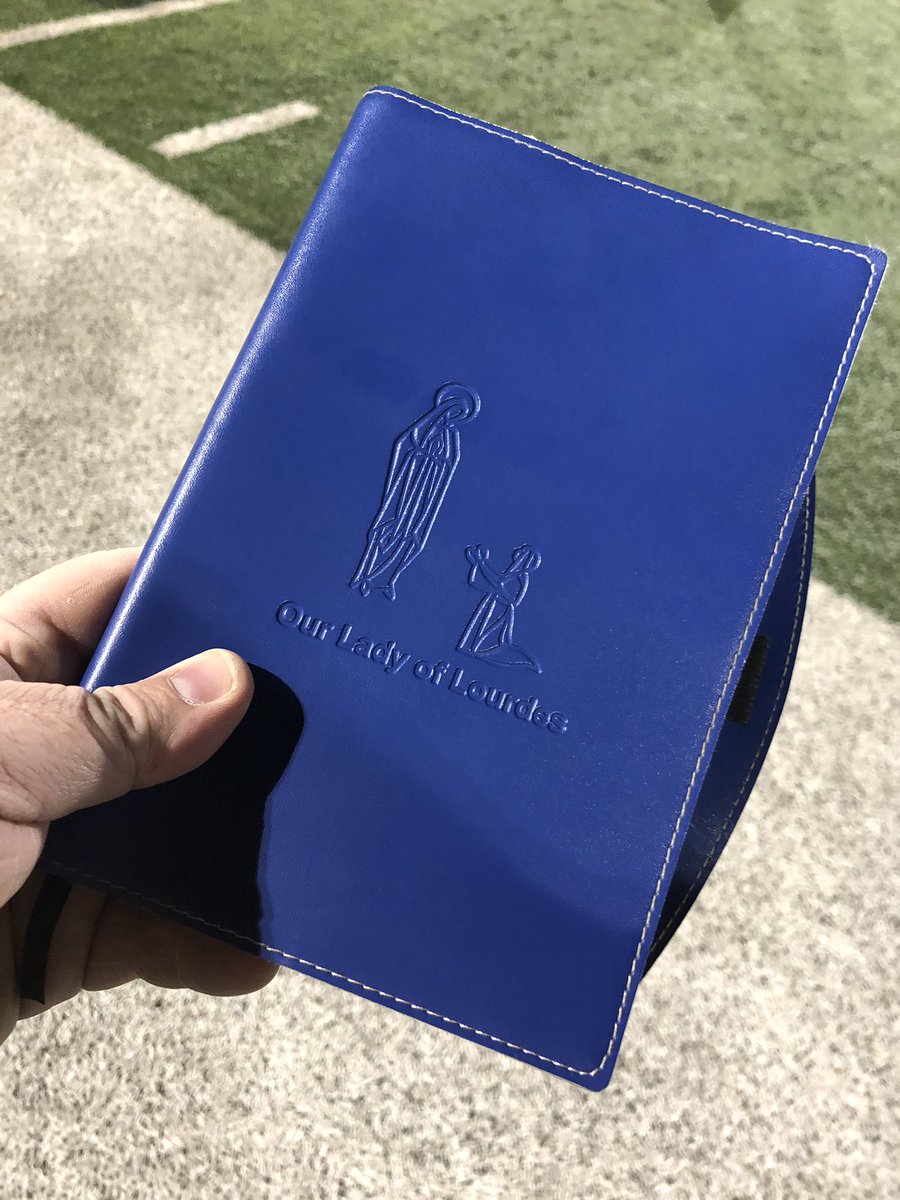 Our Lady of Lourdes tweet media