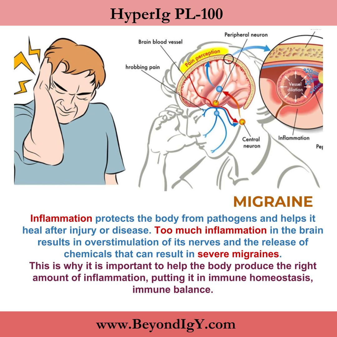 beyondigy's tweet photo. Help your immune  response return to balance with HyperIg PL-100!

Learn more: https://t.co/lDzHtgvcso
Order Now: https://t.co/a0IWeZ0Xdj

#hyperimmune #hyperimmuneegg #immunesystem #balance #health #autoimmune #disease #hyperig #guthealth #jointhealth #hearthealth https://t.co/GxdVDvkbsg