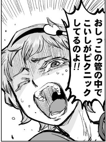 さとりは尿管結石じゃない(怒) みたいな声が聞かれることもあるけど、あの本の中でも「永琳が診断した病名」であって実際は妹が体内で遊んでるだけだからすこぶるハートウォーミングだよ。
https://t.co/z9SnMcbwdX 