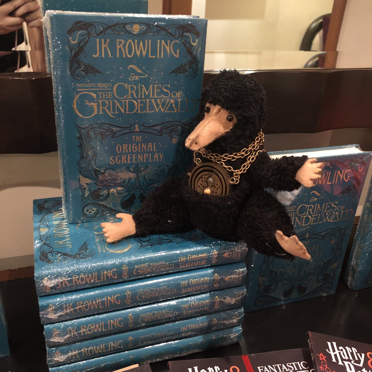 sumthinblue's tweet photo. Niffler in the house! #FantasticBeastsPh #hogwartsphils #scholasticasia https://t.co/nV3EI0D9Ah